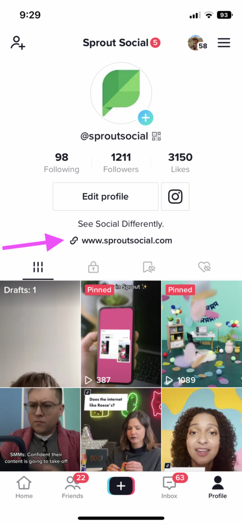 Screenshot of Sprout Social's TikTok profile via mobile with a pink arrow pointing directly to the bio above the video feed.